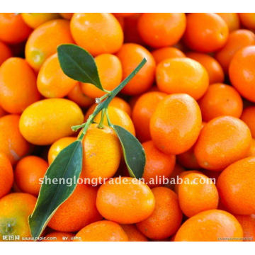 Laranja citrus fresca doce